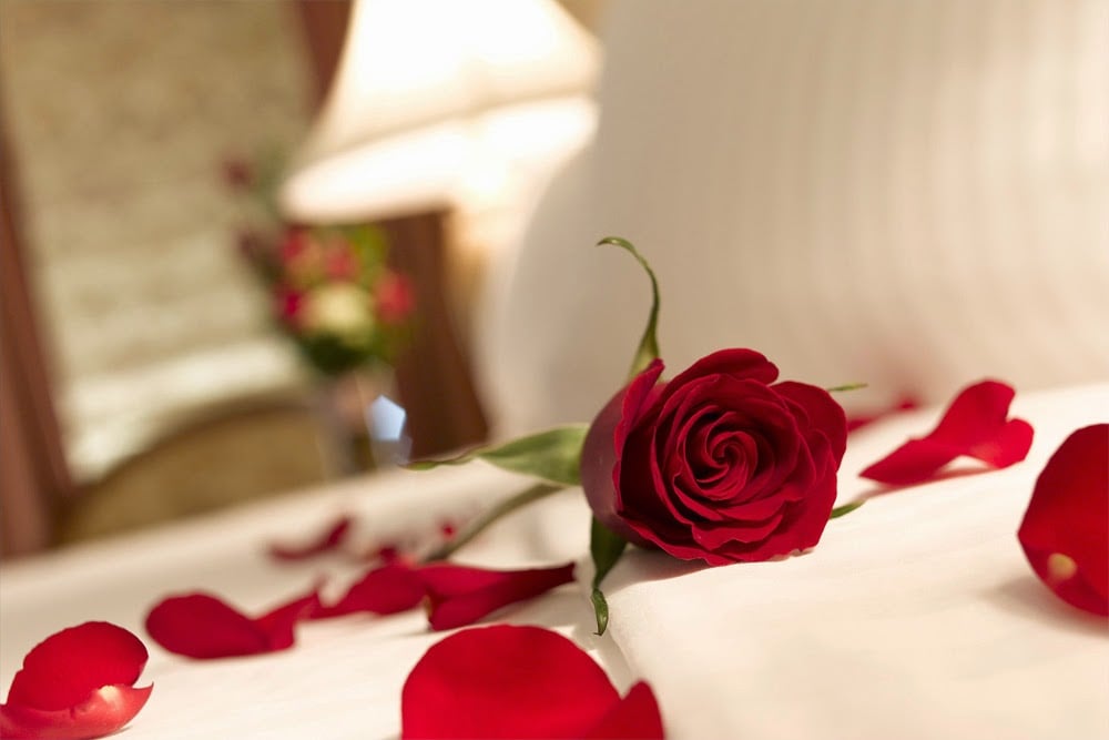 Rose Petals - Sybaris - Romantic Weekend Getaways in Chicago, Milwaukee,  Indianapolis