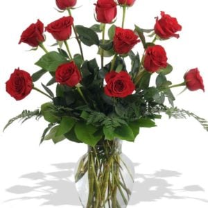 Dozen Roses in a Vase