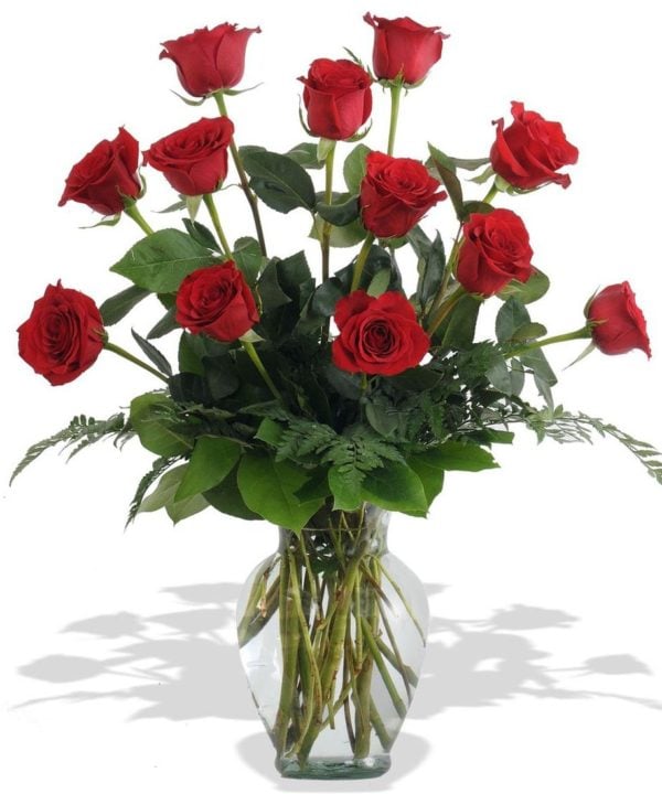 Dozen Roses in a Vase